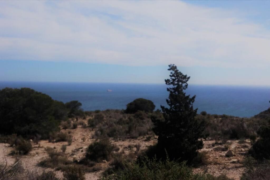 Apartamento Modern Flat At Garbinet With Wifi Alicante Exterior foto